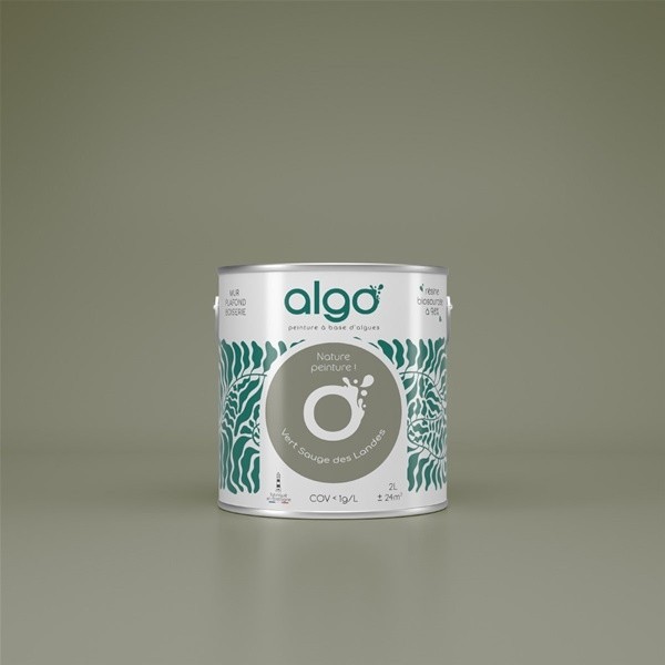 Algo Peint.intér.déco multi-supports vert sauge des landes satin 5 L