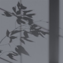 Algo Peint.intér.déco multi-supports gris chaud des açores satin 5 L - Image 2