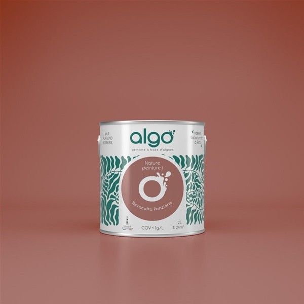 Algo Peint.intér.déco multi-supports terracotta ponziane satin 5 L