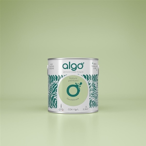Algo Peint.intér.déco multi-supports vert guadeloupe satin 5 L