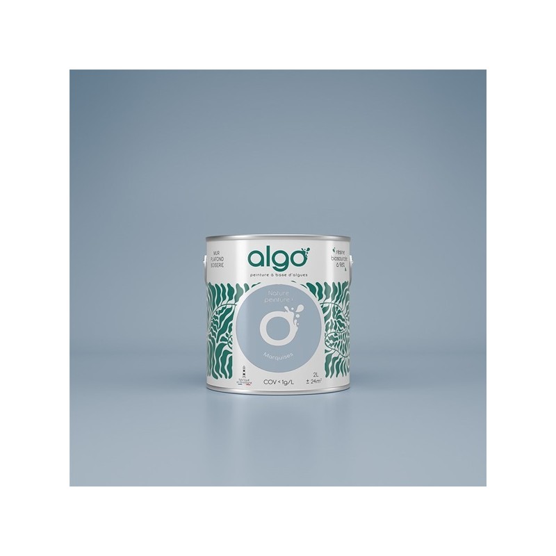 Algo Peint.intér.déco multi-supports bleu marquises velours 5 L