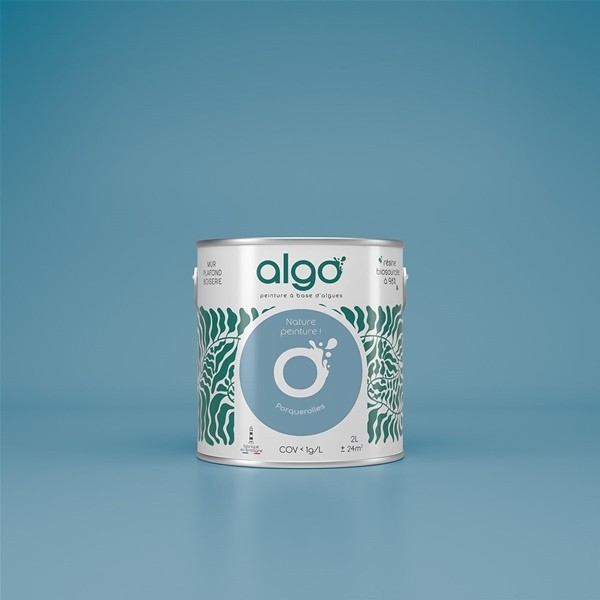 Algo Peint.intér.déco multi-supports bleu porquerolles velours 5 L