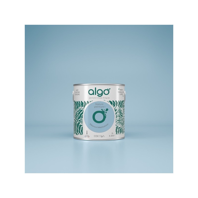 Algo Peint.intér.déco multi-supports bleu séance méditation velours 5 L