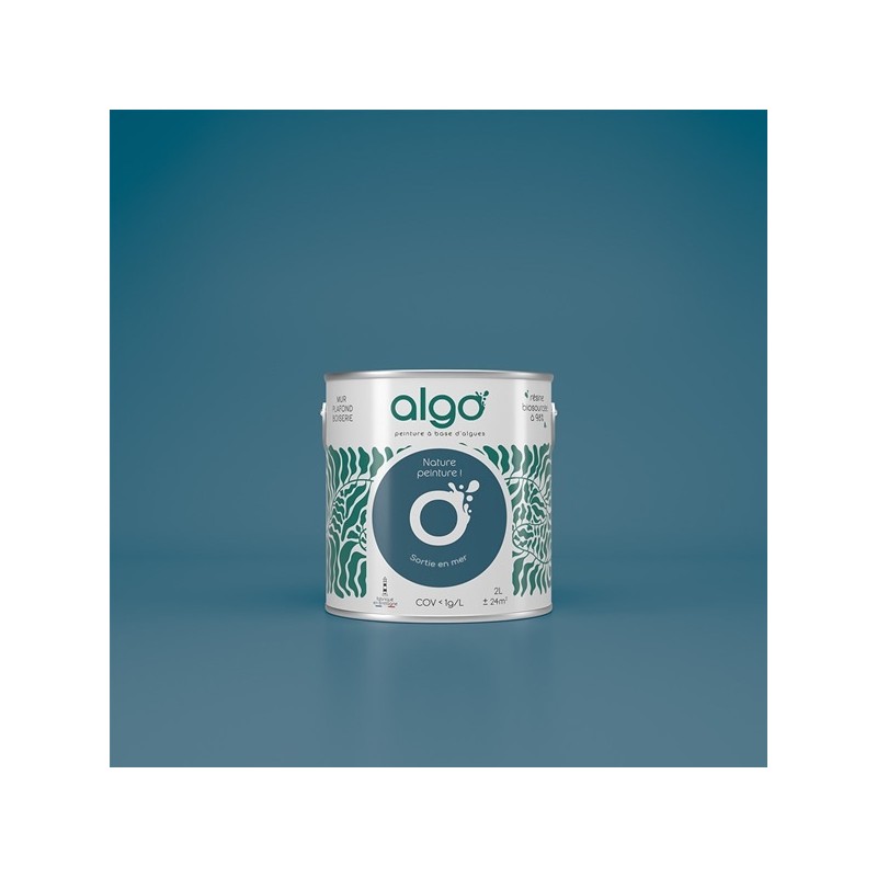 Algo Peint.intér.déco multi-supports bleu sortie en mer velours 5 L