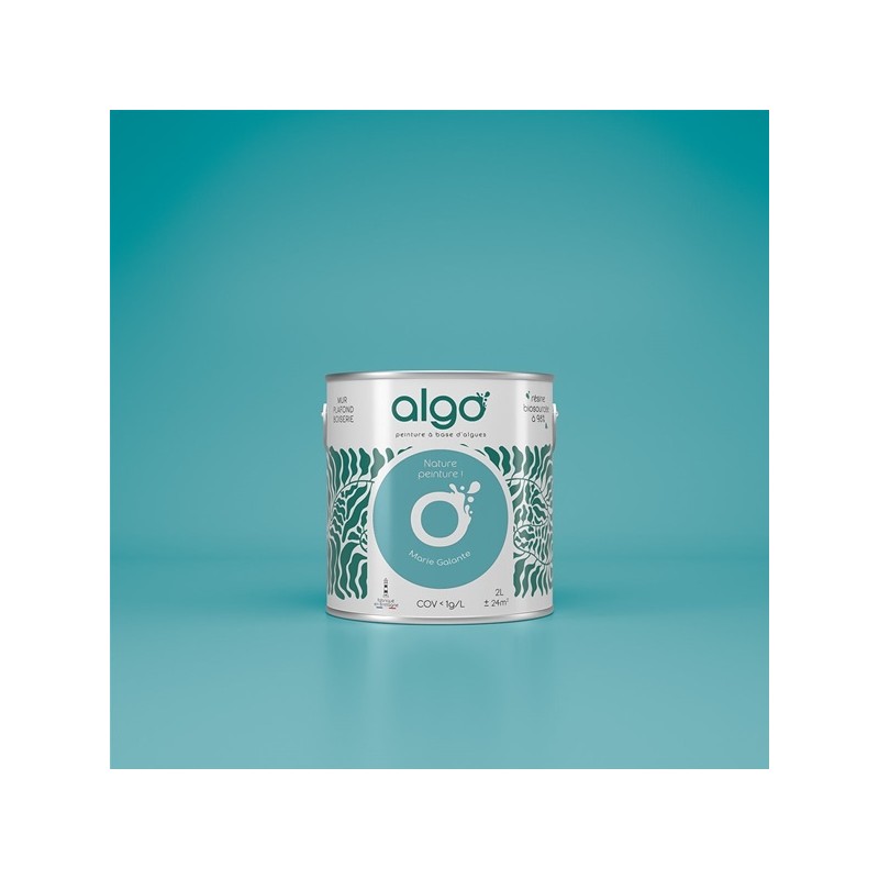 Algo Peint.intér.déco multi-supports bleu marie-galante velours 5 L