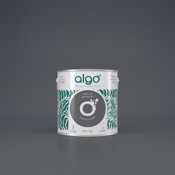 Algo Peint.intér.déco multi-supports ciel noir d'été velours 5 L