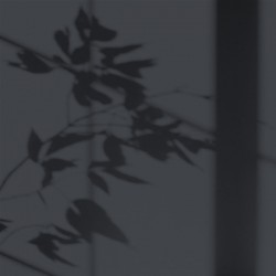 Algo Peint.intér.déco multi-supports ciel noir d'été velours 5 L - Image 2