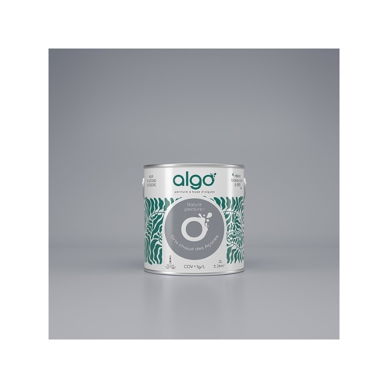 Algo Peint.intér.déco multi-supports gris chaud des açores velours 5 L