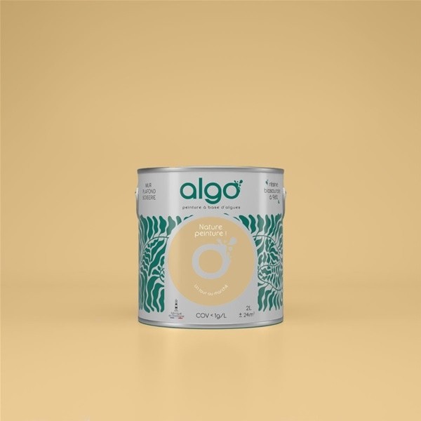 Algo Peint.intér.déco multi-supports jaune un tour au marché velours 5 L