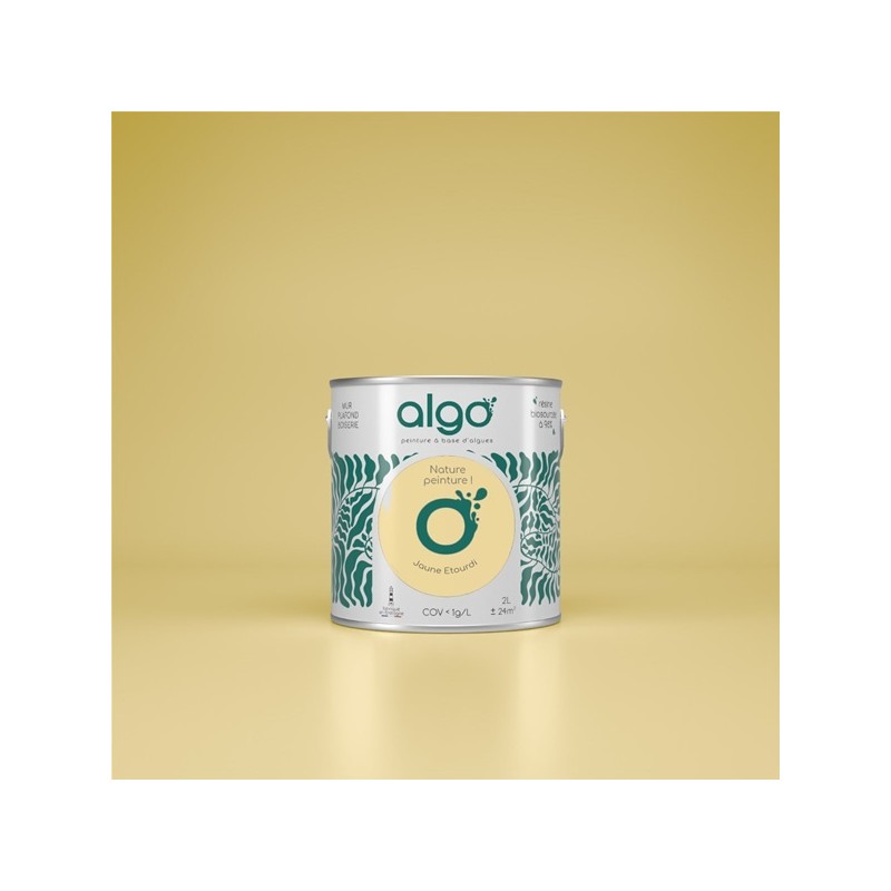 Algo Peint.intér.déco multi-supports jaune étourdi velours 5 L