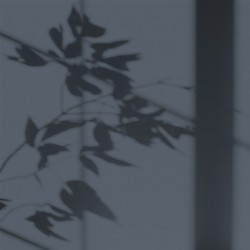 Algo Peint.intér.déco multi-supports gris visite au musée velours 5 L - Image 2