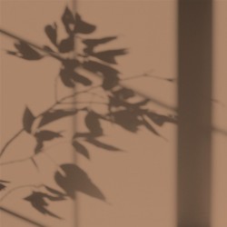 Algo Peint.intér.déco multi-supports magellan velours 5 L - Image 2