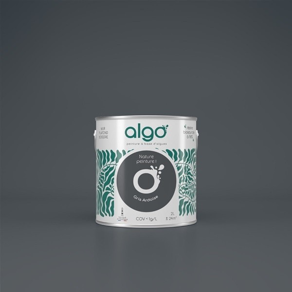 Algo Peint.intér.déco multi-supports gris ardoise velours 5 L