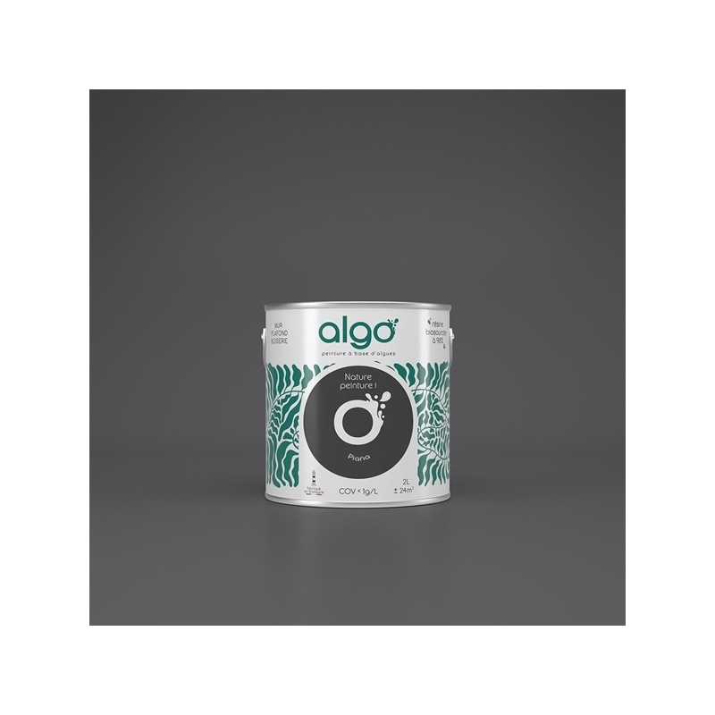 Algo Peint.intér.déco multi-supports noir piana velours 5 L