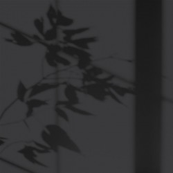 Algo Peint.intér.déco multi-supports noir piana velours 5 L - Image 2