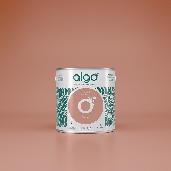 Algo Peint.intér.déco multi-supports rose bréhat velours 5 L