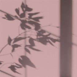 Algo Peint.intér.déco multi-supports rose orchidées douces velours 5 L - Image 2