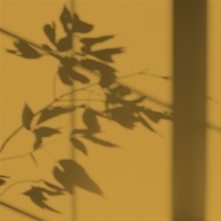 Algo Peint.intér.déco multi-supports jaune superbloom velours 5 L - Image 2