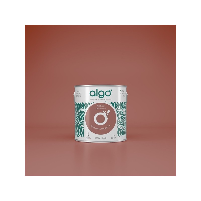 Algo Peint.intér.déco multi-supports terracotta ponziane velours 5 L