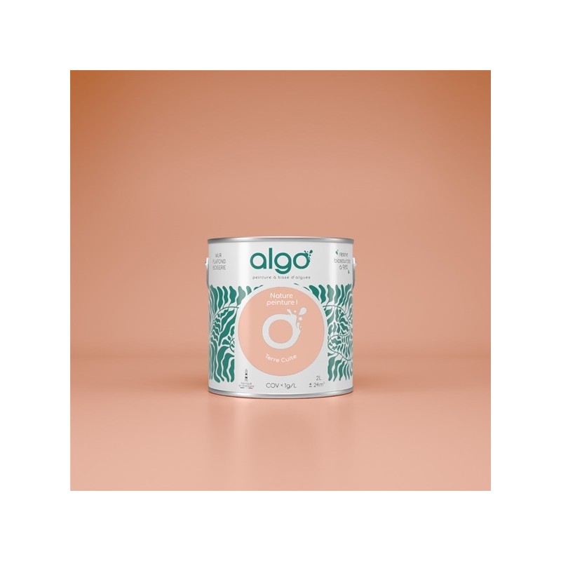 Algo Peint.intér.déco multi-supports terre cuite velours 5 L