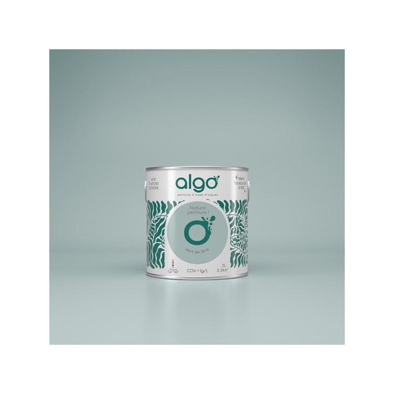 Algo Peint.intér.déco multi-supports vert de gris velours 5 L