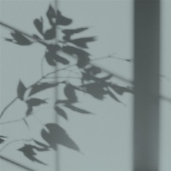 Algo Peint.intér.déco multi-supports vert de gris velours 5 L - Image 2