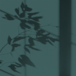 Algo Peint.intér.déco multi-supports vert paon velours 5 L - Image 2