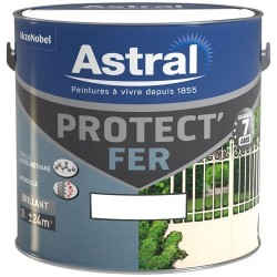 Peinture 2 L Protect Fer -...