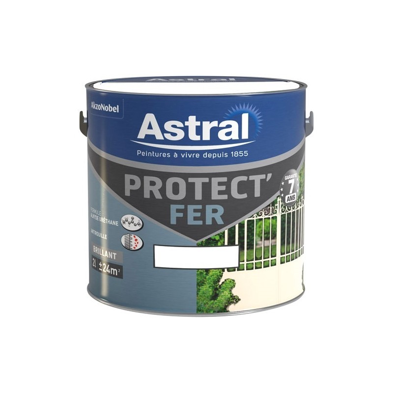 Astral Peinture 2 L Protect Fer - Base White Brillante