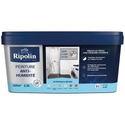 Peinture anti-humidité 2,5...