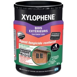 Traitement bois extérieur 5...