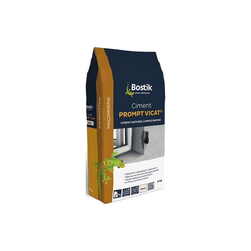 Bostik Ciment prompt Vicat 5kg