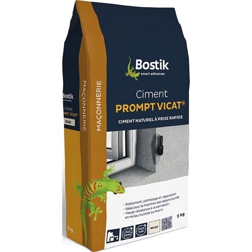 Bostik Ciment prompt Vicat 5kg
