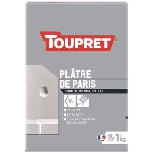 Toupret Platre de paris intérieur poudre 1kg blanc
