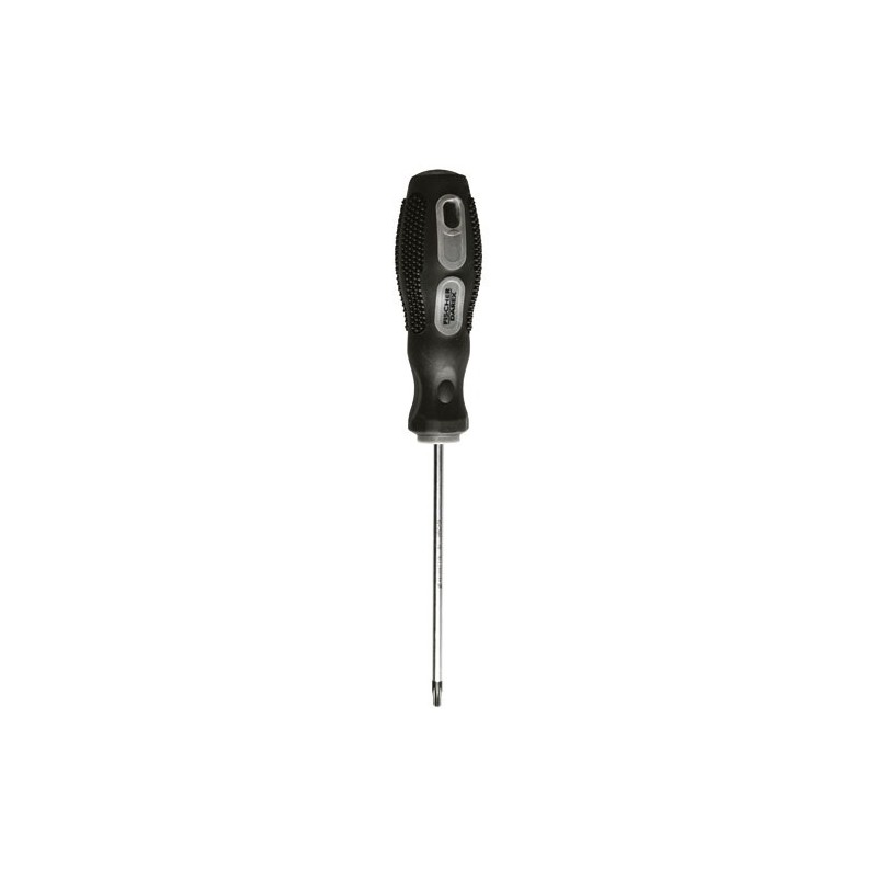 Fischer Darex Tournevis torx tt10 4.0 x 100 mm