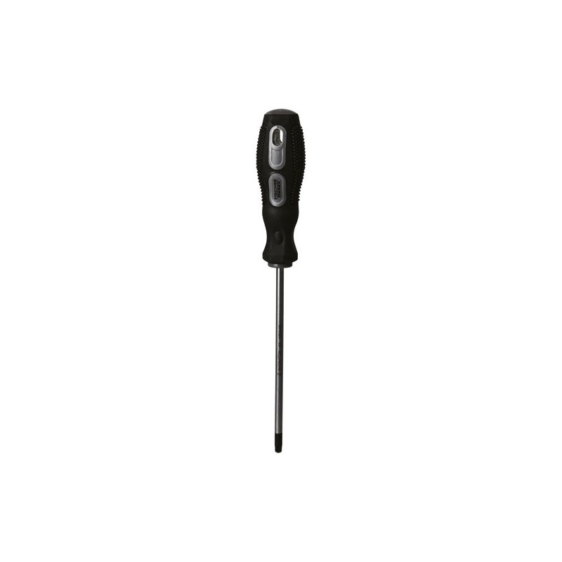 Fischer Darex Tournevis torx tt25 5.0 x 125 mm