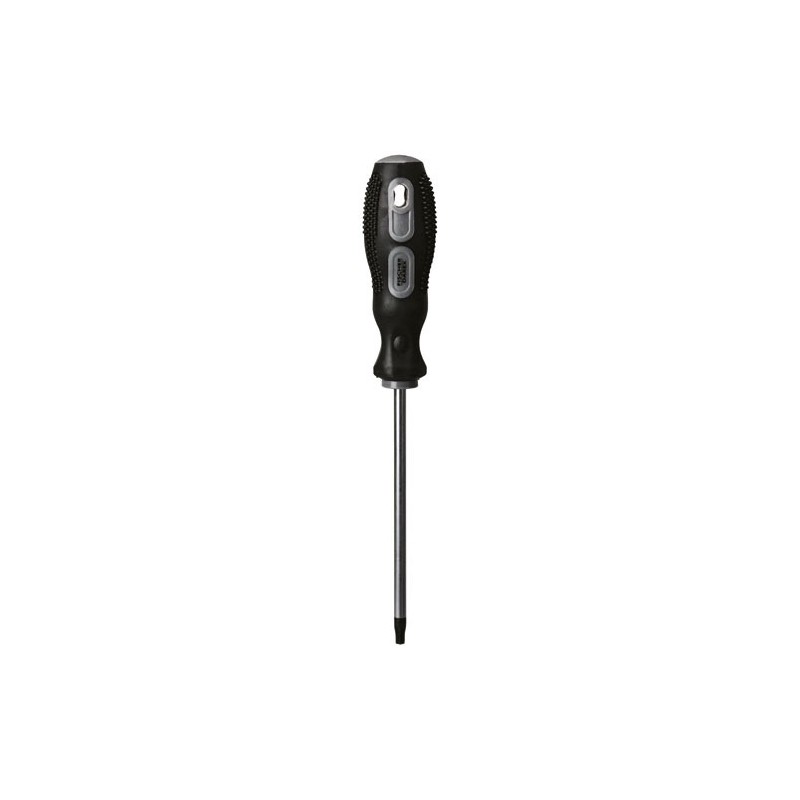 Fischer Darex TOURNEVIS TORX TT10 6.0 X 125 MM