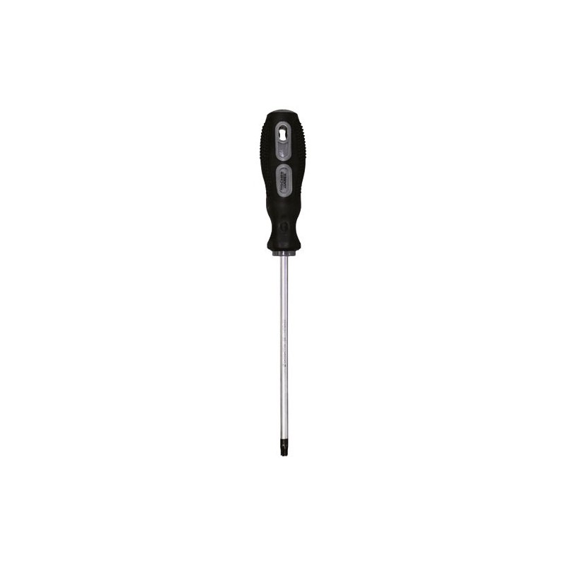 Fischer Darex Tournevis lame chrome molybdene s2 tt30 xl150mm x6mm