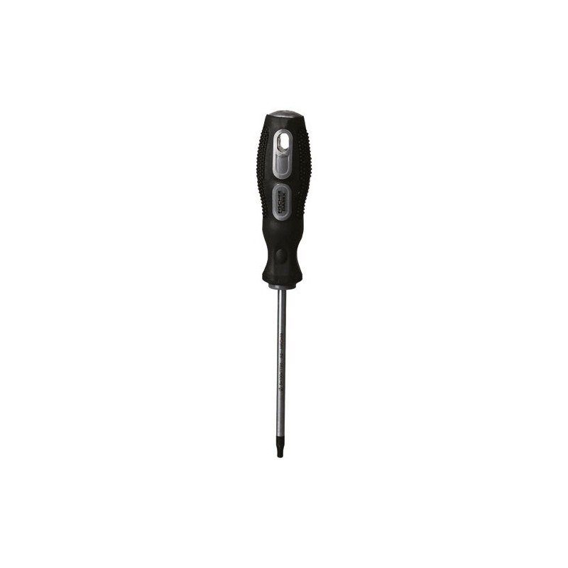Fischer Darex Tournevis torx tt20 5.0 x 100 mm