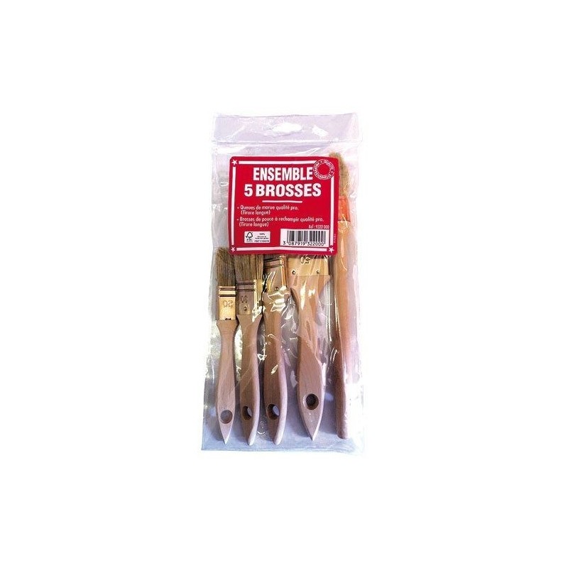 Savy Brosse professionnel norme fsc lot de 5